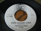 The Driving Stupid Garage Psych 45 on Kr  