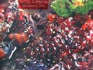Animal Collective SEALED NEW vinyl LP / Strawberry Jam.