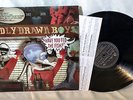 Badly Drawn Boy LP Have You Fed the Fish? Artist Direct BMG 2002 NM-/VG++