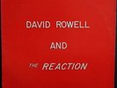 Private AOR Rock LP by DAVID ROWELL AND THE REACTION - - 1984 - USA