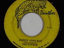 Reggae 45 - Slicker - Johnny (Too) Bad - Panther - mp3