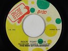 Rocksteady Reggae 45 - New Establishment - Rock Fort Rock - Iron Side Disc - mp3