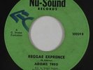 Reggae/Calypso 45 - Adoms Treo - Reggae Experience - Nu-Sound - mp3