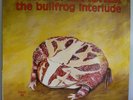 Rory Gallagher The Bullfrog Interlude 12