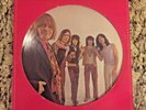 The Rolling Stones- Picture Disc Decca 30010 French Import Vinyl