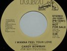 Modern Soul/Boogie 45-CANDY BOWMAN-I Wanna Feel Your Love-RCA Promo NOS