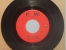 PETER & THE WOLVES 1967 ORIGINAL GARAGE 45 HEY MAMA VG NR