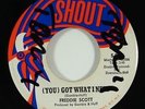 Freddie Scott 