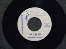 FANTASTIC DEE-JAYS Love Is So Tuff FLEETWOOD 1096 M- Listen  GARAGE