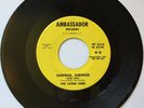 Fuzz garage punk 45 THE LOVED ONES “Surprise Surprise” orig ‘66 Tenn. Promo HEAR