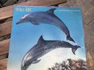 ORANGE JUICE - You Can't Hide Your Love Forever - Debut Vinyl LP EX/EX