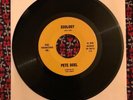 Pete Duel Ecology Poetry rare private Spoken Word Beat Cult TV Alias Smith HEAR