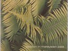 EDGAR FROESE: Epsilon in Malaysian Pale UK Virgin V-2040 Ambient Electronig LP