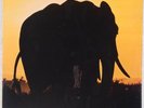 HUGH HOPPER, ELTON DEAN: Rogue Element OGUN Experimental Jazz LP UK Orig