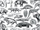 Moschops - Skratch Fossils Skipless Scratch Vinyl CUT and Paste Records 12