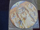 IRON MAIDEN Picture Disc Powerslave -Nice-Import