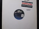 Anything Box - Living In Oblivion 12