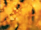 steamhammer - reflection    -akarma  - new  LP-release