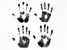 KALEO AB LP Vinyl BRAND NEW