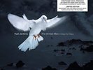 Karl Jenkins-Karl Jenkins - The Armed Man:  (UK IMPORT)  VINYL NEW