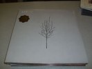 LOW - Ones And Sixes - coloured 2LP Vinyl // Neu&OVP // LOSER EDITION // DLC