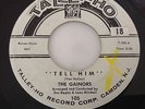 GAINORS-TELL HIM/DARLIN-TALLEY-HO-T-105. VG+