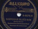BLUES - WASHBOARD SAM 