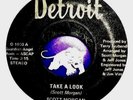 SCOTT MORGAN 45-Take A Look-DETROIT-1000-PROTO-PUNK SONIC's BAND/ MC5 /RATIONALS