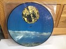 Altamont Vinyl New Steven Wilson Porcupine Tree Bass Communion Rare Ltd