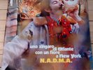 N.A.D.M.A. Italian Prog LP - Uno Zingaro Di Alante EX 1973 RCA Rare with Letter