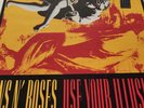 Guns N' Roses  Use Your Illusion 1 1991 Vinyl [GEF24415] Rock