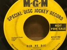The Seeds - MGM K14190 DJ Promo Did He Die/Love in a Summer Basket 1970 Garage