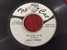 RICKY STORM/THE WAY IT IS RARE ROOTS REGGAE 45
