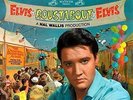Elvis Presley ROUSTABOUT Ltd.180g Orange Vinyl LP Sony / Friday Music Neu & OVP