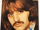 Ringo Starr Authenticly Signed 10x8 Picture The Beatles