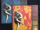 Guns n Roses  - Use your Illusion I & II (2x vinyl albums, sealed)