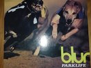 NM( ) BLUR - Parklife 12