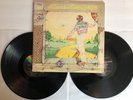 Elton John - Goodbye Yellow Brick Road - 1973 US 1st Press MCA2-10003 (NM-)
