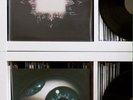 TOOL AENIMA / Ænima  (2LP Vinyl)