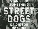 STREET DOGS - Stand For Something Or Die For Nothing - Vinyl (gatefold LP)