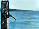 Chick Corea - Return To Forever / NM / LP, Album, RE