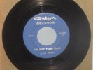 PANIKS 1960's MIDWEST GARAGE ROCK ORIGINAL VINYL 45 I'M NOT YOUR MAN VG NR