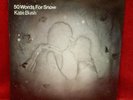 Kate Bush -  50 Words For Snow Vinyl Record Album 2011