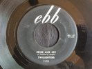 Twilighters, Ebb 117, Pride And Joy & Live Like A King, If Elvis did Doo-wop