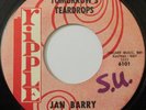 Jan Berry 45 Ripple 