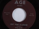 R&B Mod Soul 45 RICKY ALLEN Cut You A-Loose AGE HEAR