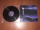John Maus- We Must Become the Pitiless Censors of Ourselves (LP VINYL)
