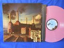 PINK FLOYD ANIMALS RARE PINK COLORED ROSE ORIG FRANCE EXC+