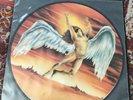 Led Zeppelin - Picture Disc Cleveland LP April 1977 1/1000 magic mushrooms rock