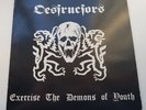 DESTRUCTORS exercise the demons of youth VINYL LP - 1982 / PUNK / EXCELLENT